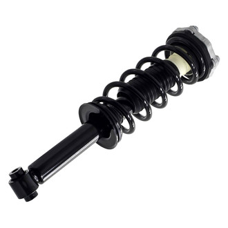 FCS® - Rear Passenger Side Complete Strut Assembly