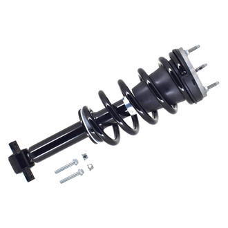 FCS® - Front Driver or Passenger Side Complete Strut Assembly