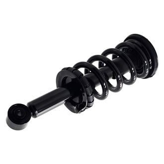 FCS® - Complete Strut Assembly