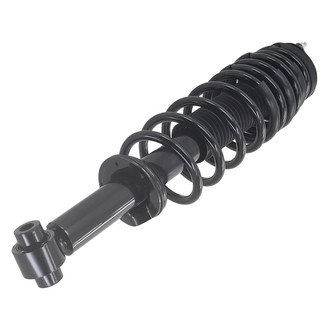FCS® - Rear Driver or Passenger Side Complete Strut Assembly