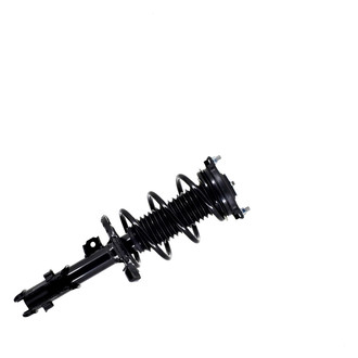 FCS® - Front Passenger Side Complete Strut Assembly