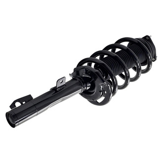 FCS® - Front Driver or Passenger Side Complete Strut Assembly
