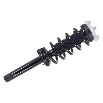FCS® - Front Driver or Passenger Side Complete Strut Assembly