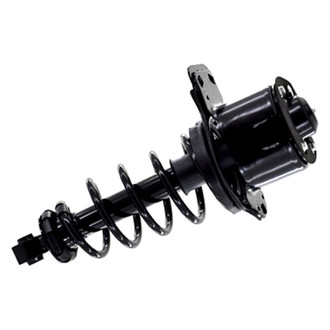 FCS® - Rear Passenger Side Complete Strut Assembly