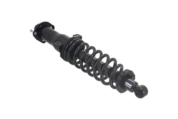 FCS® - Rear Passenger Side Complete Strut Assembly