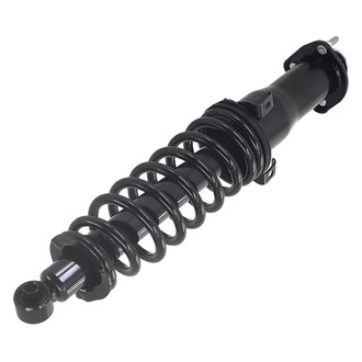 FCS® - Rear Passenger Side Complete Strut Assembly