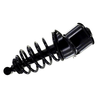 FCS® - Rear Passenger Side Complete Strut Assembly
