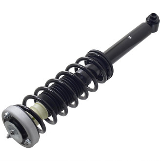 FCS® - Rear Passenger Side Complete Strut Assembly