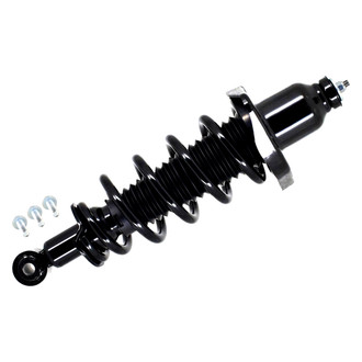 FCS® - Rear Passenger Side Complete Strut Assembly