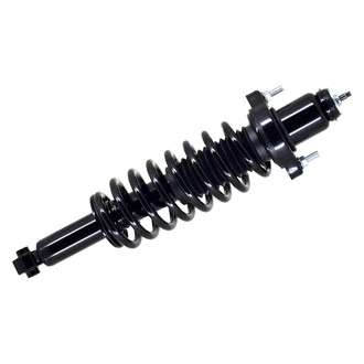 FCS® - Rear Driver or Passenger Side Complete Strut Assembly