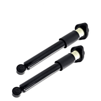 FCS® - Rear Shock Absorbers