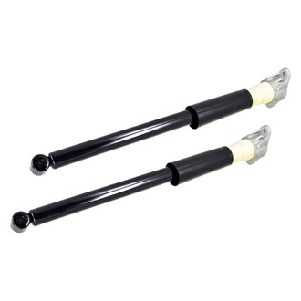FCS® - Rear Driver or Passenger Side Shock Absorbers
