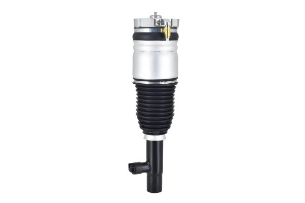 FCS® - Front Driver Side Suspension Strut