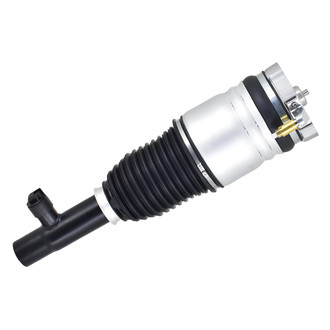 FCS® - Front Driver Side Air Non-Adjustable Suspension Strut