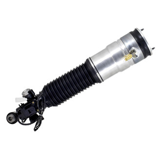 FCS® - Rear Driver Side Air Non-Adjustable Suspension Strut