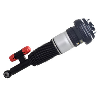 FCS® - Rear Passenger Side Air Non-Adjustable Suspension Strut