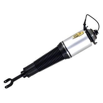 FCS® - Front Driver Side Air Non-Adjustable Suspension Strut