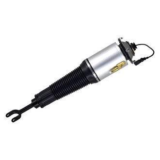 FCS® - Front Passenger Side Air Non-Adjustable Suspension Strut