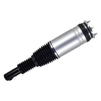 FCS® - Front Driver Side Air Non-Adjustable Suspension Strut