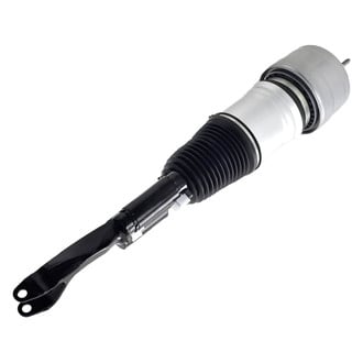 FCS® - Air Shock and Strut