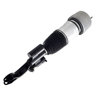 FCS® - Front Passenger Side Air Non-Adjustable Suspension Strut
