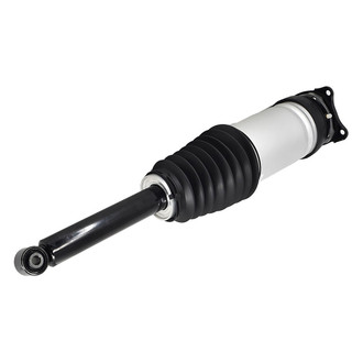 FCS® - Rear Driver Side Air Non-Adjustable Suspension Strut