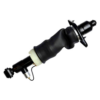FCS® - Rear Passenger Side Air Non-Adjustable Suspension Strut