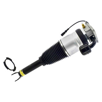 FCS® - Rear Passenger Side Air Non-Adjustable Suspension Strut