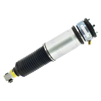 FCS® - Rear Driver Side Air Non-Adjustable Suspension Strut