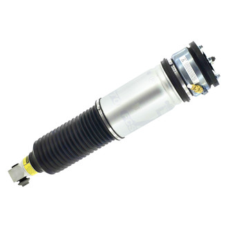 FCS® - Rear Passenger Side Air Non-Adjustable Suspension Strut