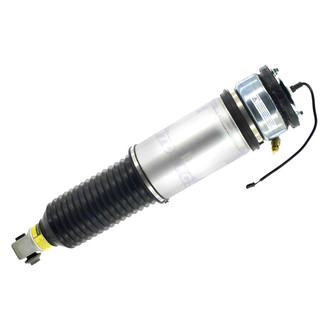 FCS® - Rear Driver Side Air Non-Adjustable Suspension Strut
