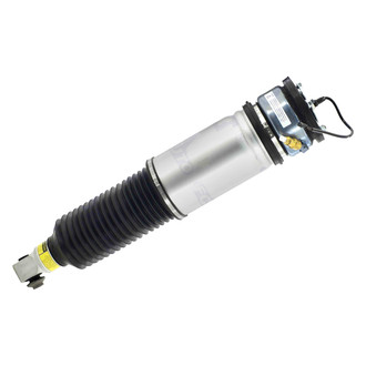 FCS® - Rear Passenger Side Air Non-Adjustable Suspension Strut