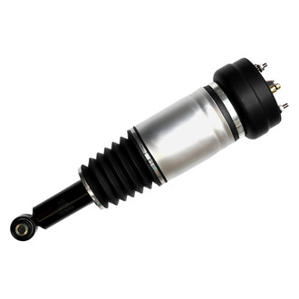 FCS® - Rear Driver or Passenger Side Air Non-Adjustable Suspension Strut