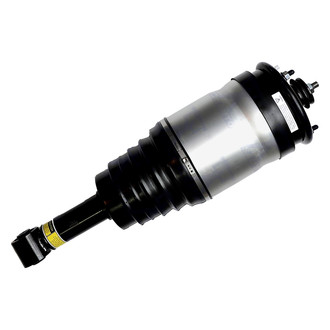 FCS® - Rear Driver or Passenger Side Air Non-Adjustable Suspension Strut