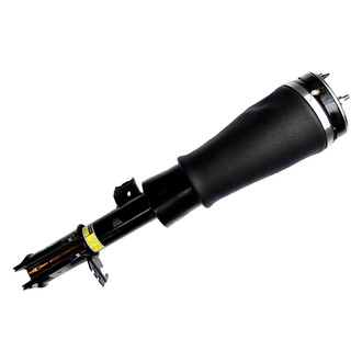FCS® - Front Driver Side Air Non-Adjustable Suspension Strut