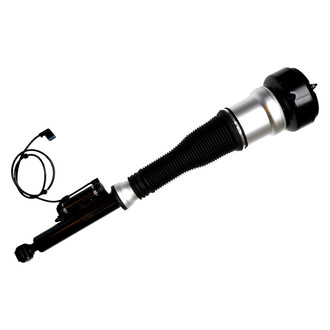 FCS® - Rear Passenger Side Air Non-Adjustable Suspension Strut