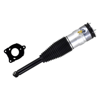 FCS® - Rear Driver or Passenger Side Air Non-Adjustable Suspension Strut