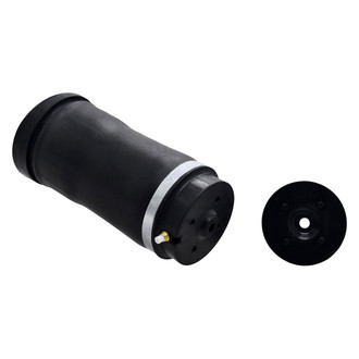 FCS® - Rear Air Suspension Spring