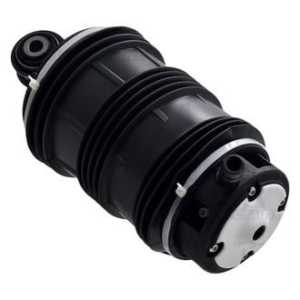 FCS® - Rear Driver Side Air Suspension Spring