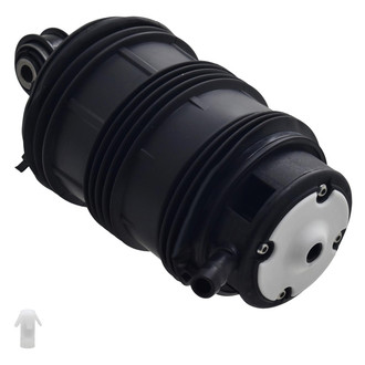 FCS® - Rear Passenger Side Air Suspension Spring