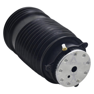 FCS® - Rear Passenger Side Air Suspension Spring