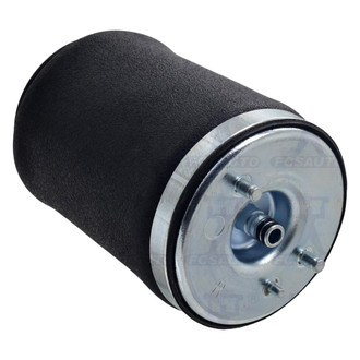 FCS® - Rear Passenger Side Air Suspension Spring
