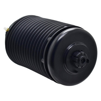 FCS® - Rear Passenger Side Air Suspension Spring