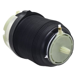 FCS® - Rear Air Suspension Spring