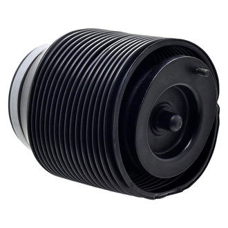 FCS® - Rear Passenger Side Air Suspension Spring