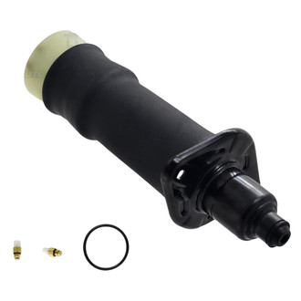 FCS® - Rear Air Suspension Spring