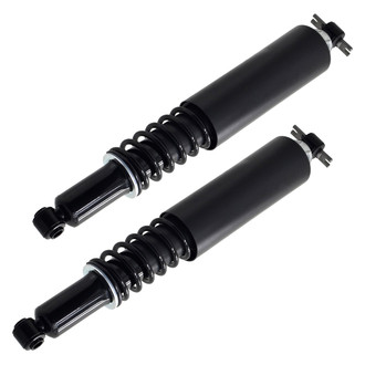 FCS® - Rear Driver or Passenger Side Shock Absorbers