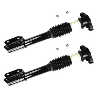 FCS® - Rear Complete Strut Assembly Set