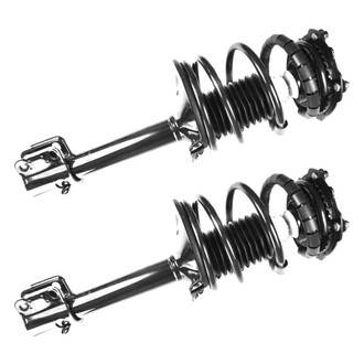 FCS® - Rear Complete Strut Assembly Set