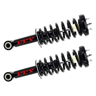 FCS® - Rear Complete Strut Assembly Set